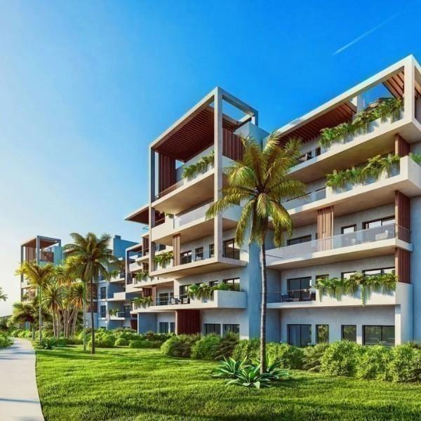 NAF Realtors | The Seed